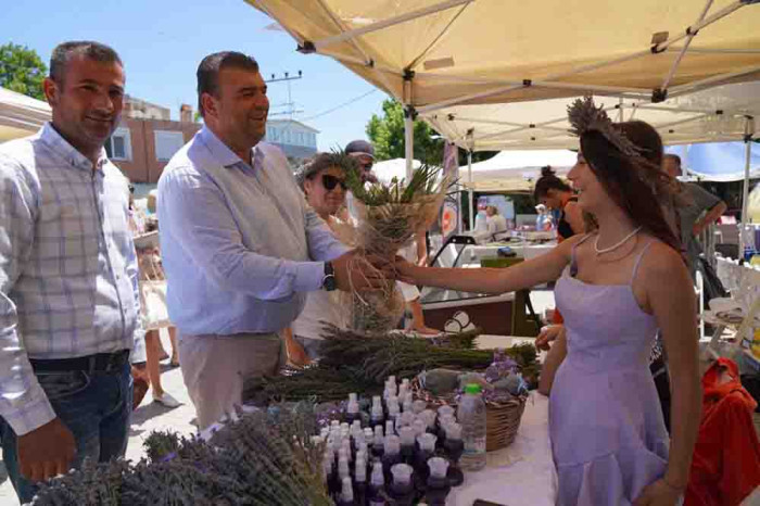 Lavanta filiz aldı mis kokulu festivale dönüştü