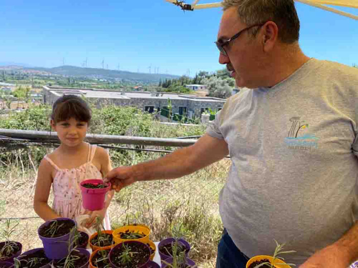 Lavanta filiz aldı mis kokulu festivale dönüştü