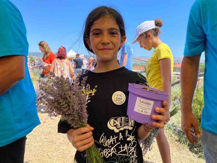 Lavanta filiz aldı mis kokulu festivale dönüştü