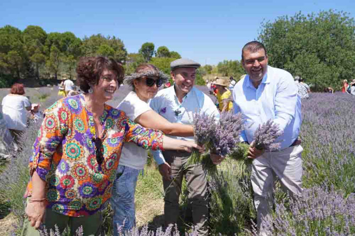 Lavanta filiz aldı mis kokulu festivale dönüştü