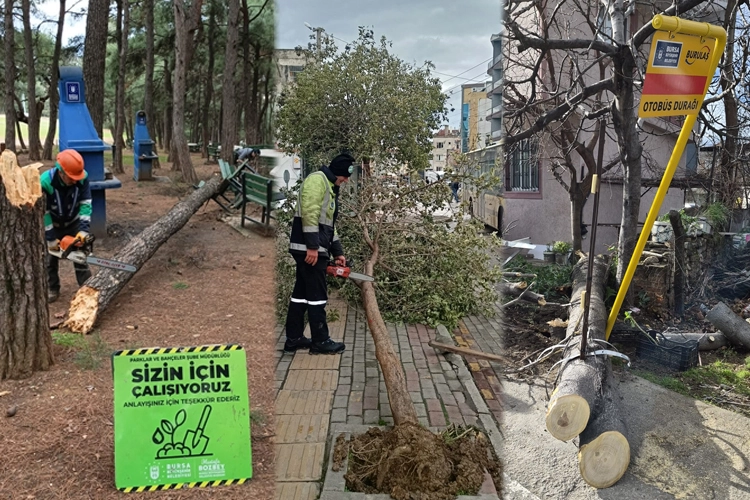 Bursa&rsquo;da şiddetli lodos sonrası ekipler sahaya indi