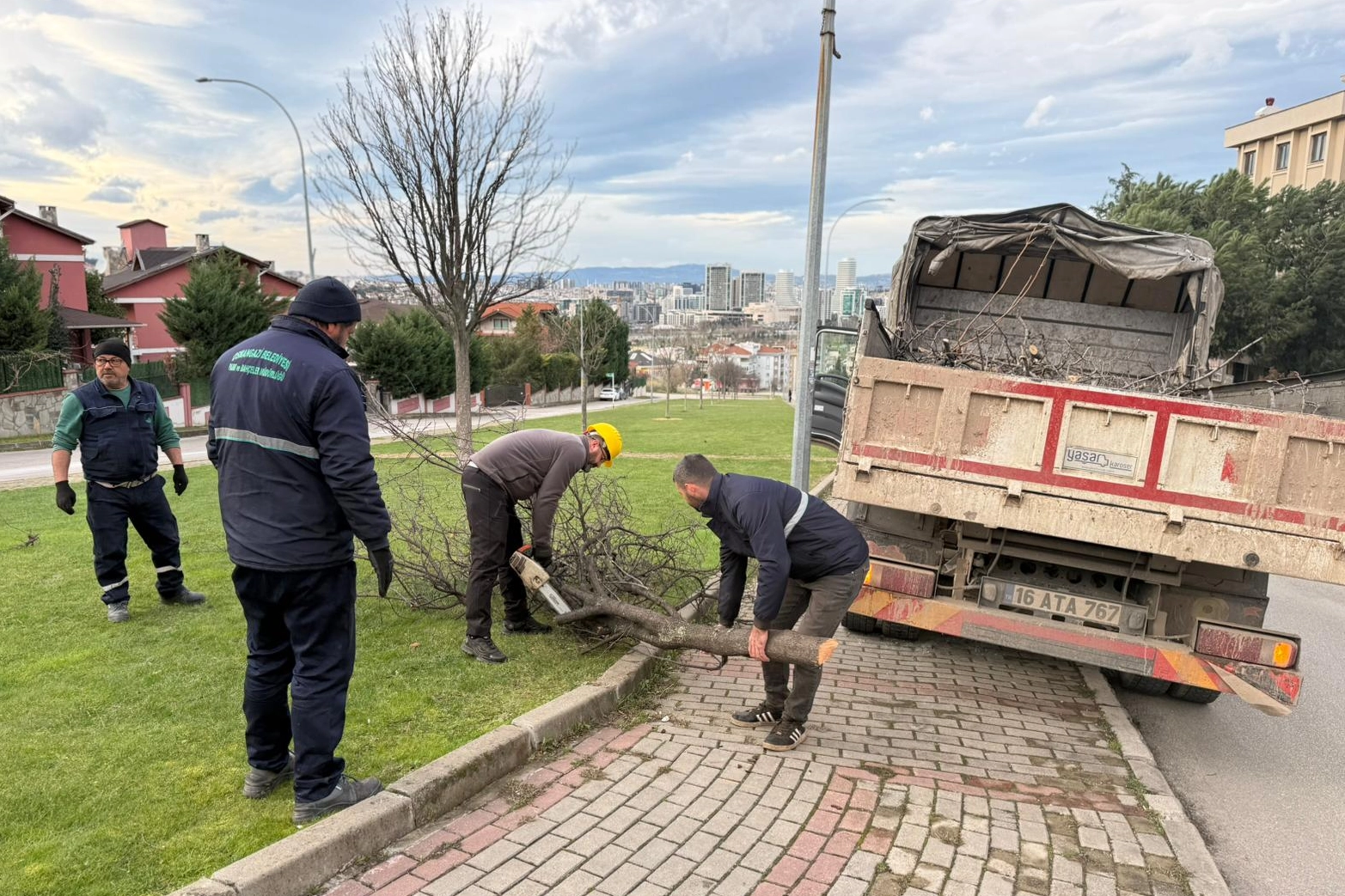 Osmangazi Belediyesi, devrilen ağa&ccedil;lara anında m&uuml;dahale etti