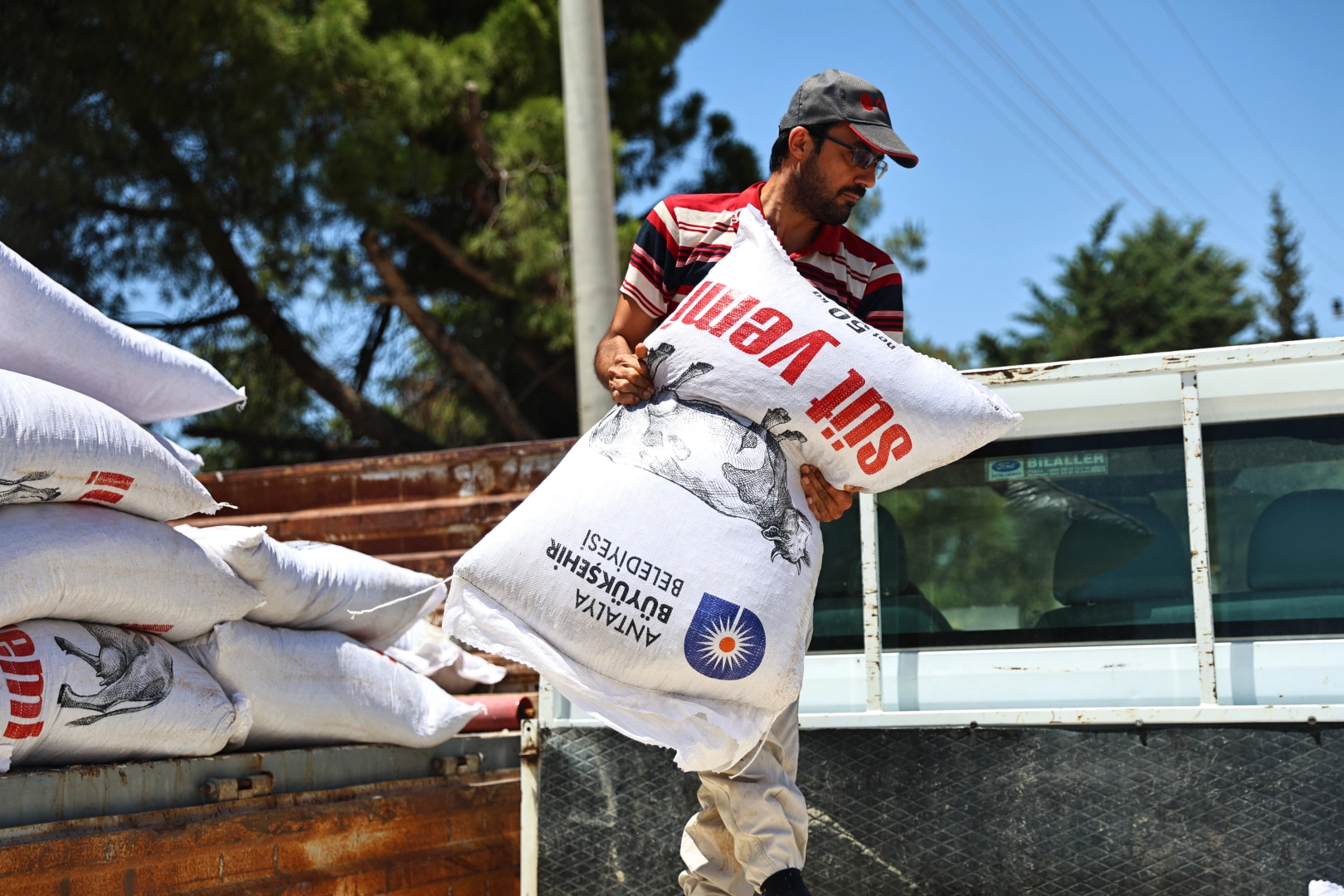 Antalya&rsquo;da hayvancılığa 2025 yılında b&uuml;y&uuml;k katkı