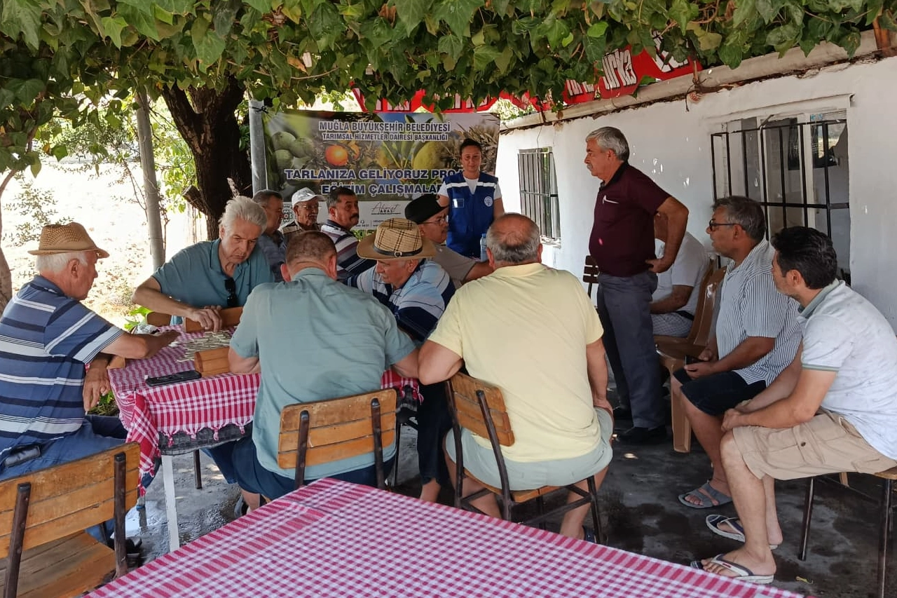 ‘Tarlanıza Geliyoruz’ projesi zeytin üreticilerini bilinçlendiriyor