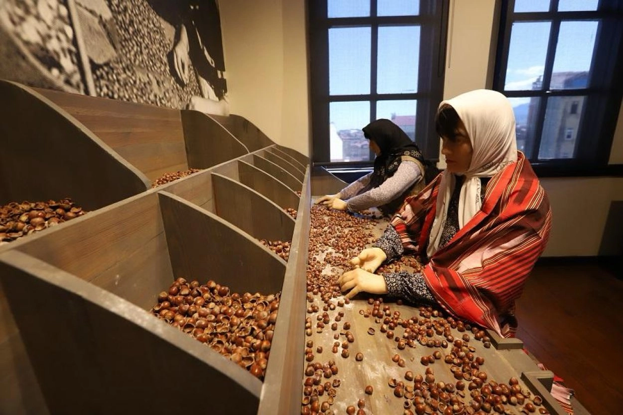 Kahraman Sağra Fındık M&uuml;zesi 51 Bin Ziyaret&ccedil;iyi Aştı