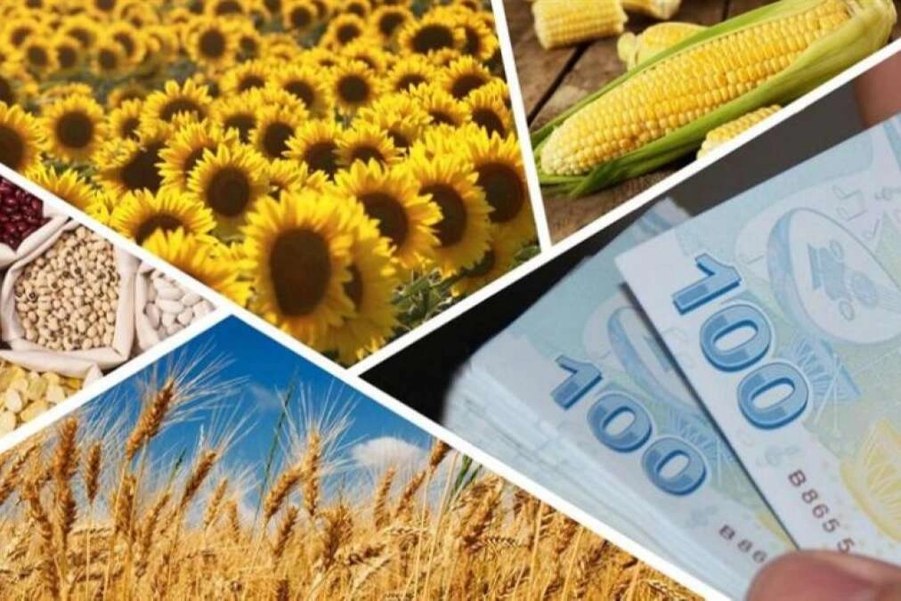 Üreten kazanıyor! Tarım destekleri hesaplarda