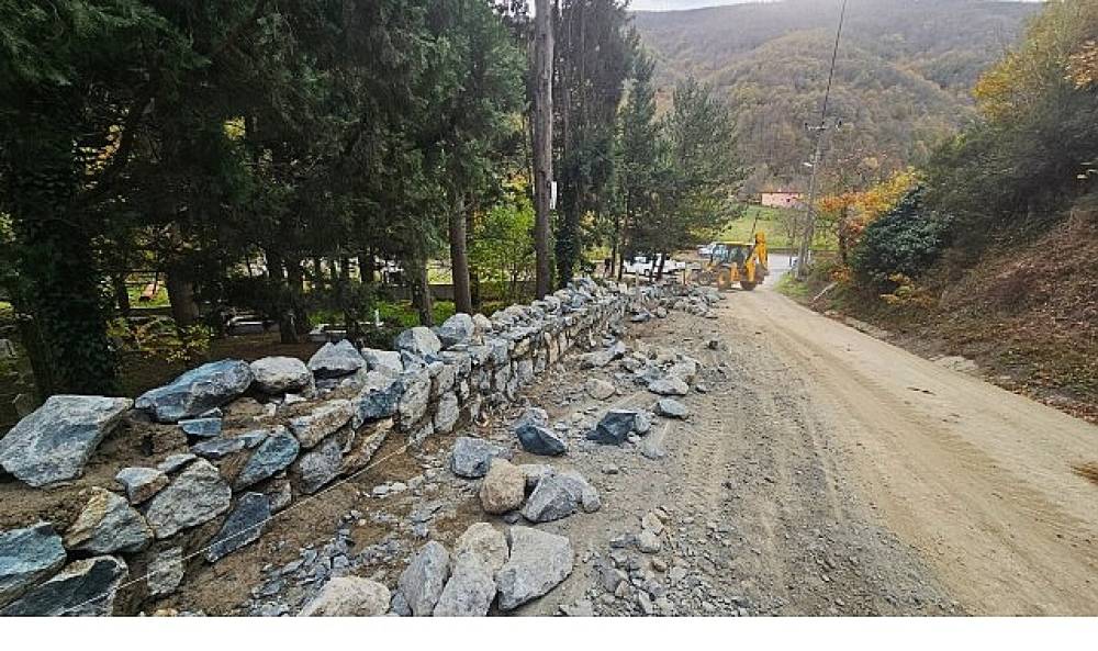 B&uuml;y&uuml;kşehir mezarlıklarda &ccedil;evre d&uuml;zenleme &ccedil;alışmalarını s&uuml;rd&uuml;r&uuml;yor