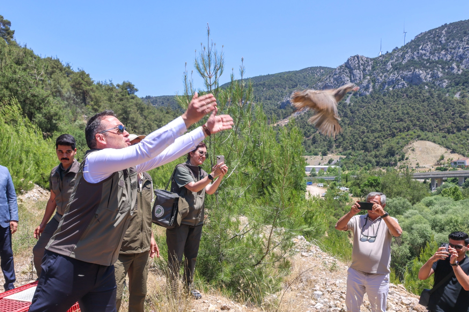 Yaban hayatı için umut: Kınalı keklikler doğayla buluştu
