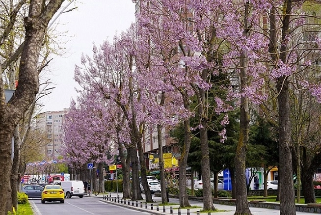Beylikd&uuml;z&uuml;&rsquo;nde park bakım &ccedil;alışmaları başladı