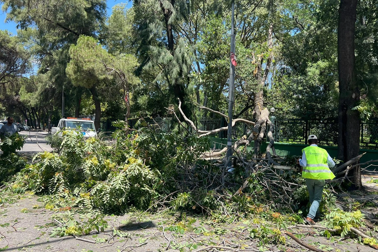 Alevler ve fırtına aynı anda: İzmir’de zorlu mücadele