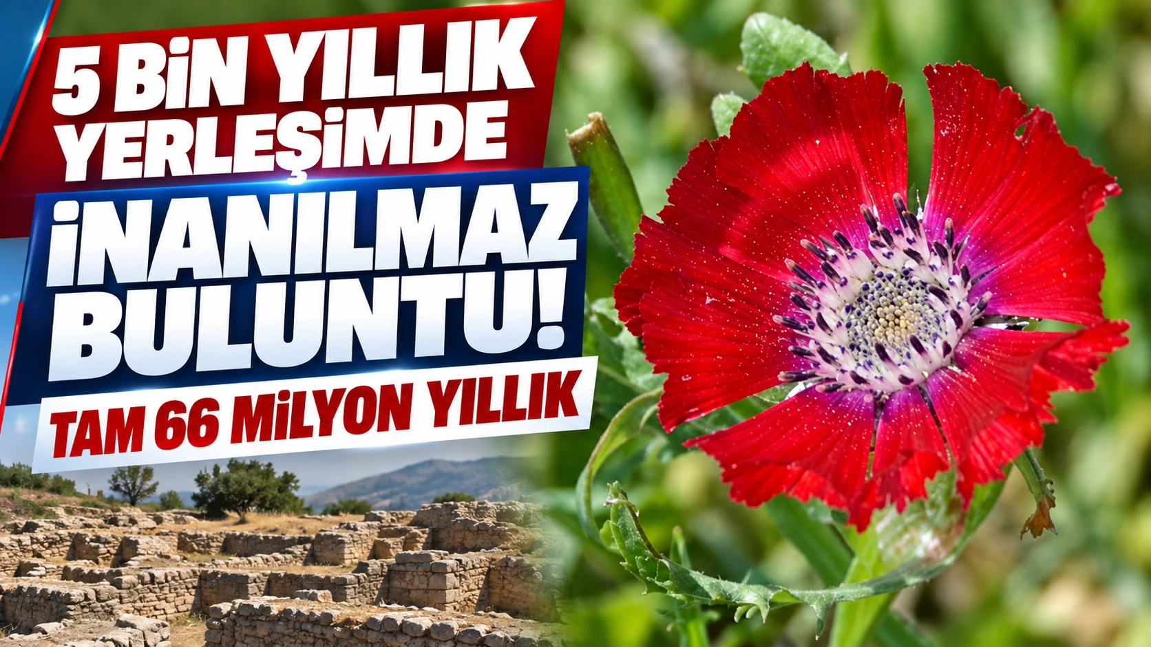 4 bin yıllık kabın i&ccedil;inden &ccedil;ıktı! Sevgi &Ccedil;i&ccedil;eği&rsquo;nin tarihi değişiyor
