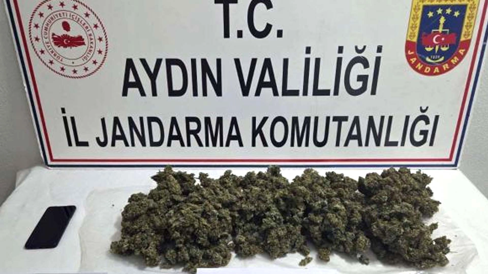 Aydın&rsquo;da jandarmadan eş zamanlı g&uuml;venlik operasyonları
