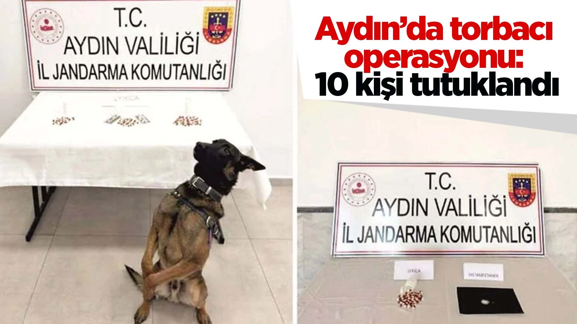 Aydın&rsquo;da jandarmadan uyuşturucu operasyonu