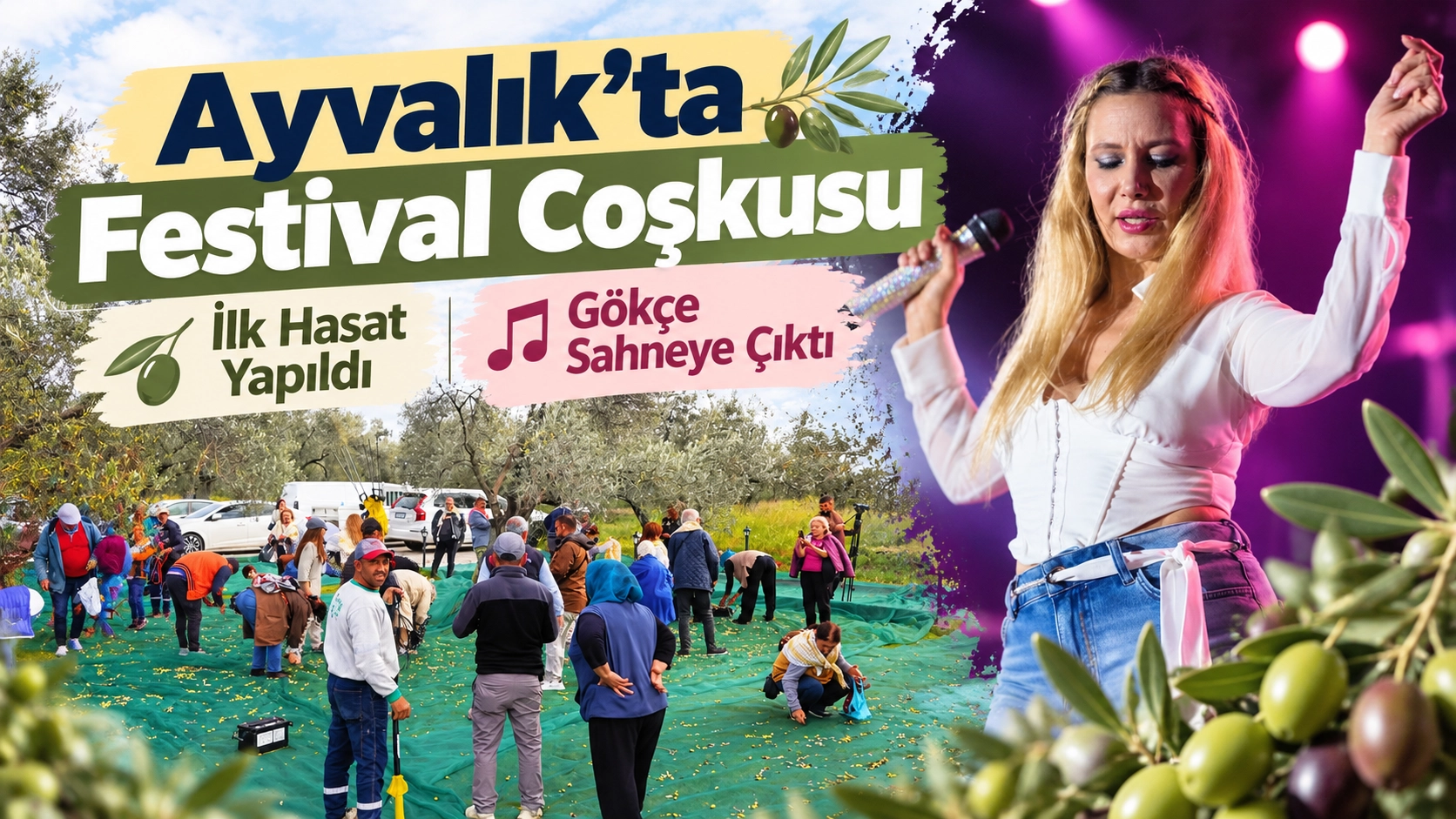 Ayvalık&rsquo;ta Festival Coşkusu: İlk Hasat Yapıldı, G&ouml;k&ccedil;e Sahneye &Ccedil;ıktı