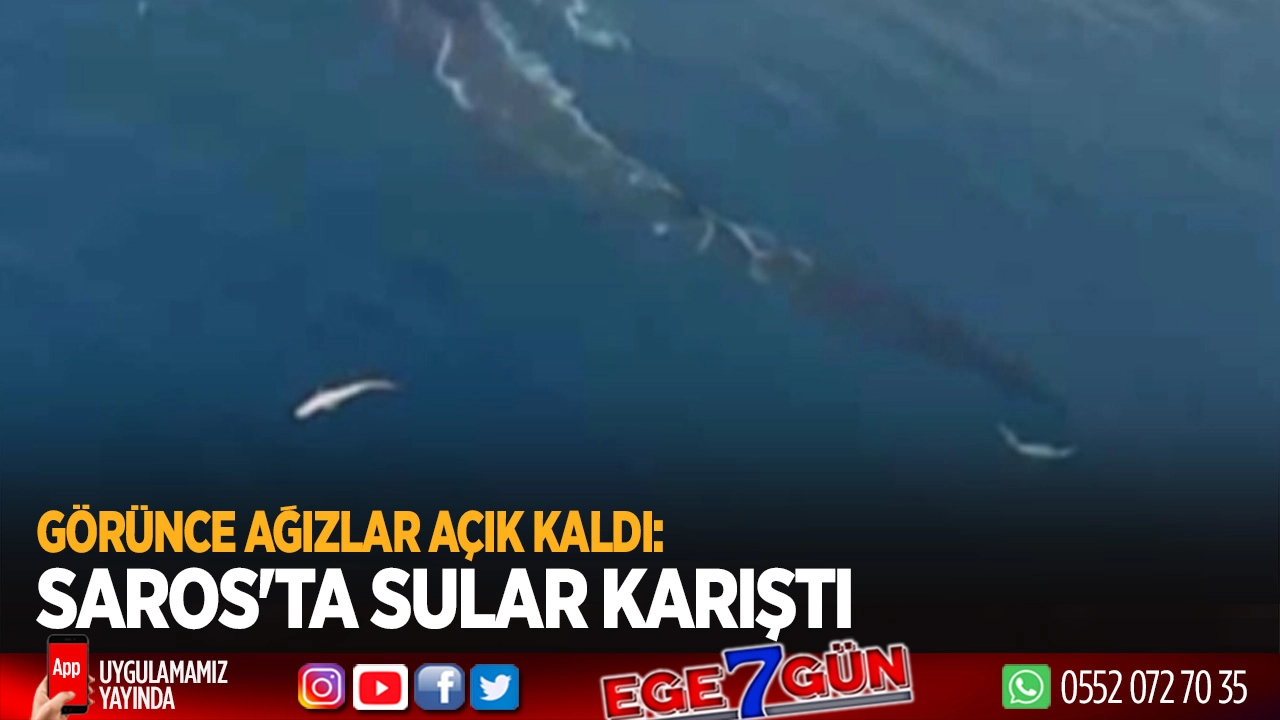 Balık tutarken tarihi anlara tanık oldular!