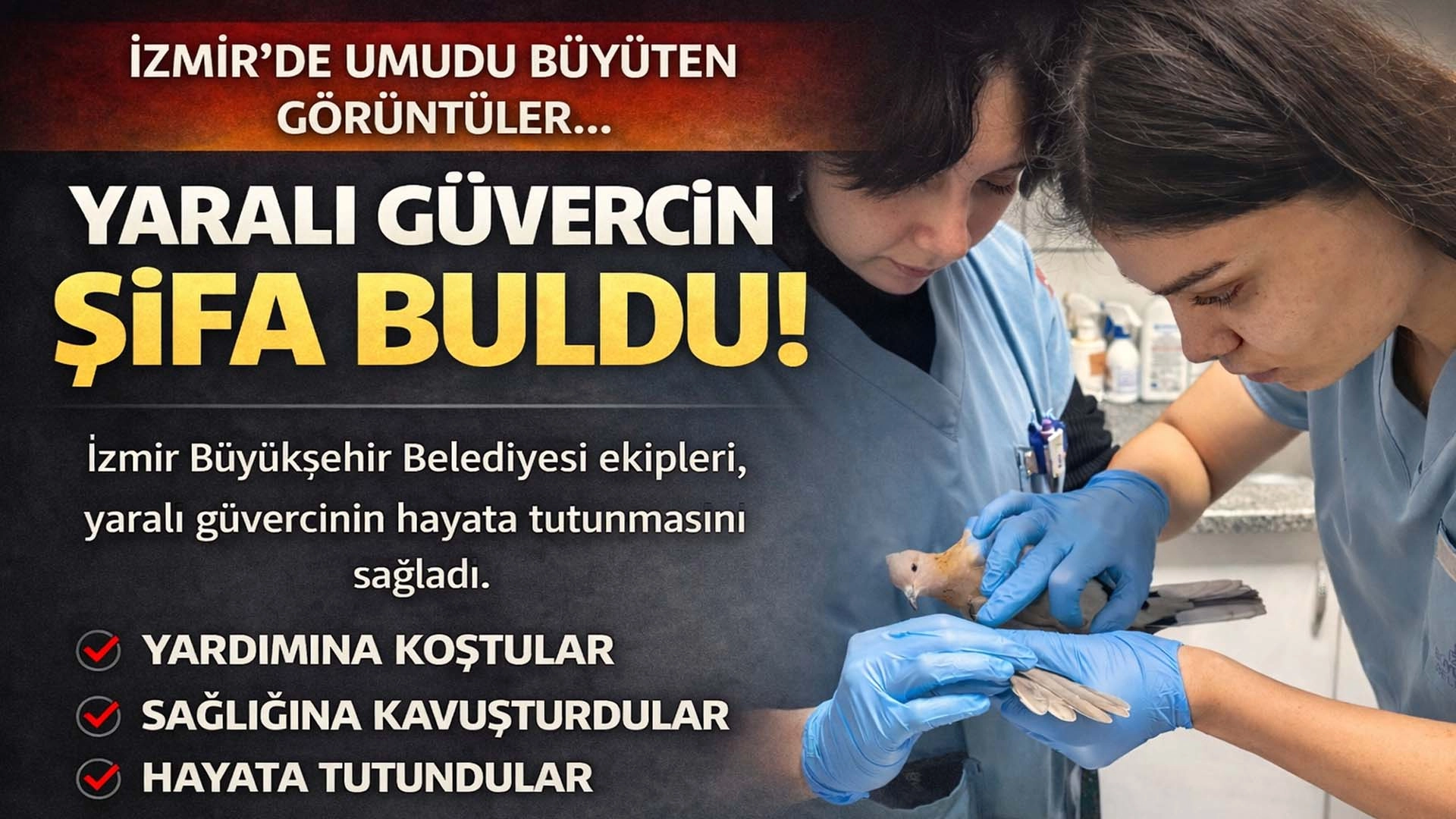 Bir Kent, Bin Can: İzmir&rsquo;de Umudu Islatan Yağmur