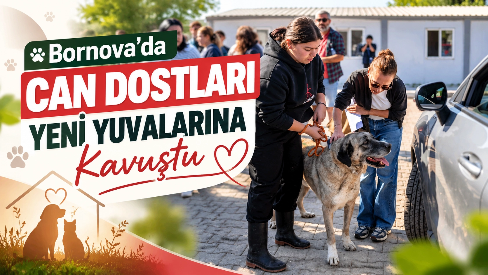 Bornova&rsquo;da can dostları yeni yuvalarına kavuştu