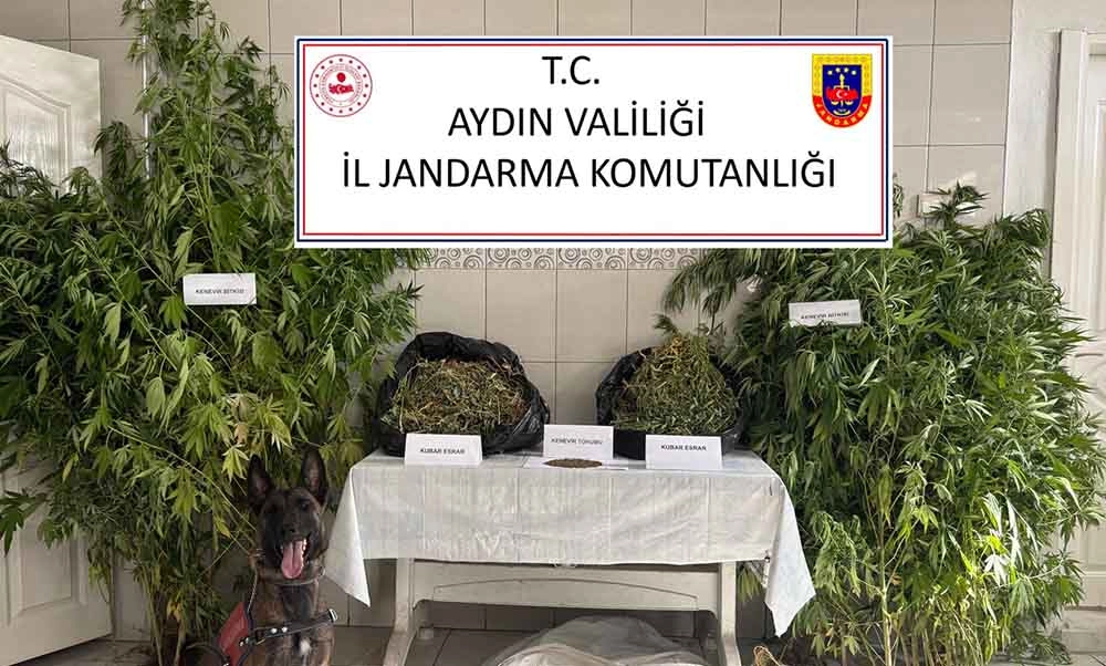Bozdoğan’da uyuşturucu operasyonu: 5 kilo esrar ve kenevirler ele geçirildi