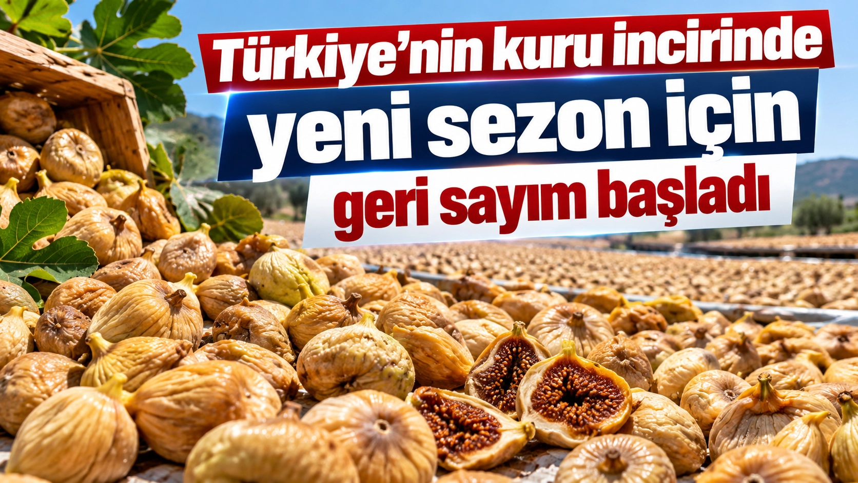 Cennet meyvesinde ihracat zili &ccedil;alıyor! İlk tarih belli oldu