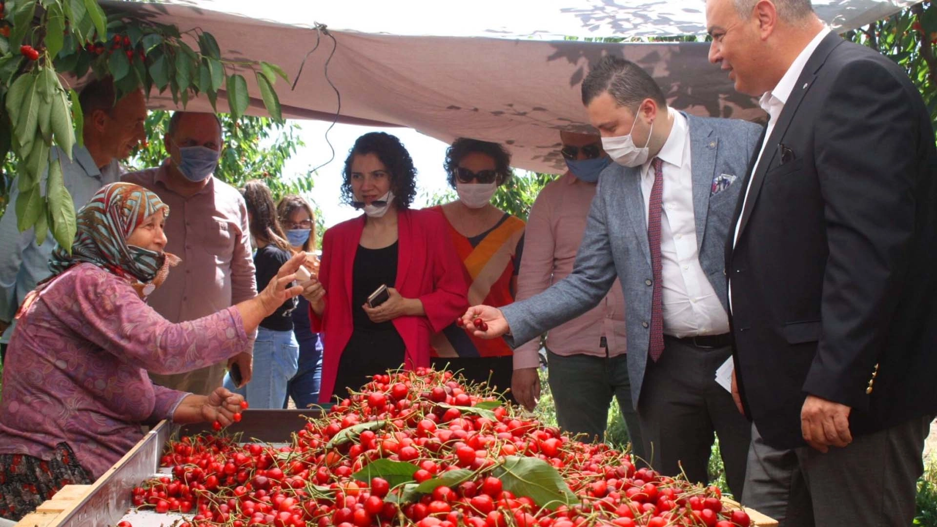 &Ccedil;eribaşı Kirazı&rsquo;na coğrafi işaret tescili