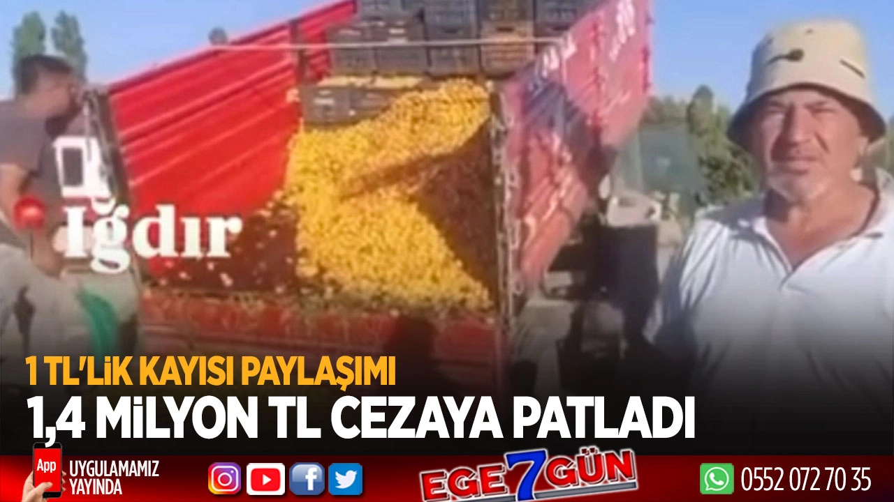 CHP’li aday adayına kayısı paylaşımı yüzünden 1.4 milyon TL ceza