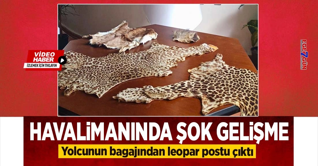 &Ccedil;ukurova Havalimanı&rsquo;nda yasa dışı yaban hayvanı operasyonu