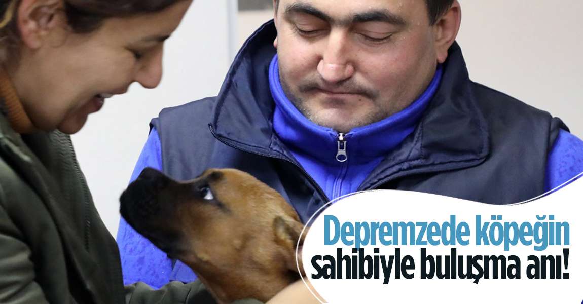 Depremzede aile ile depremzede köpeğin buluşma anı
