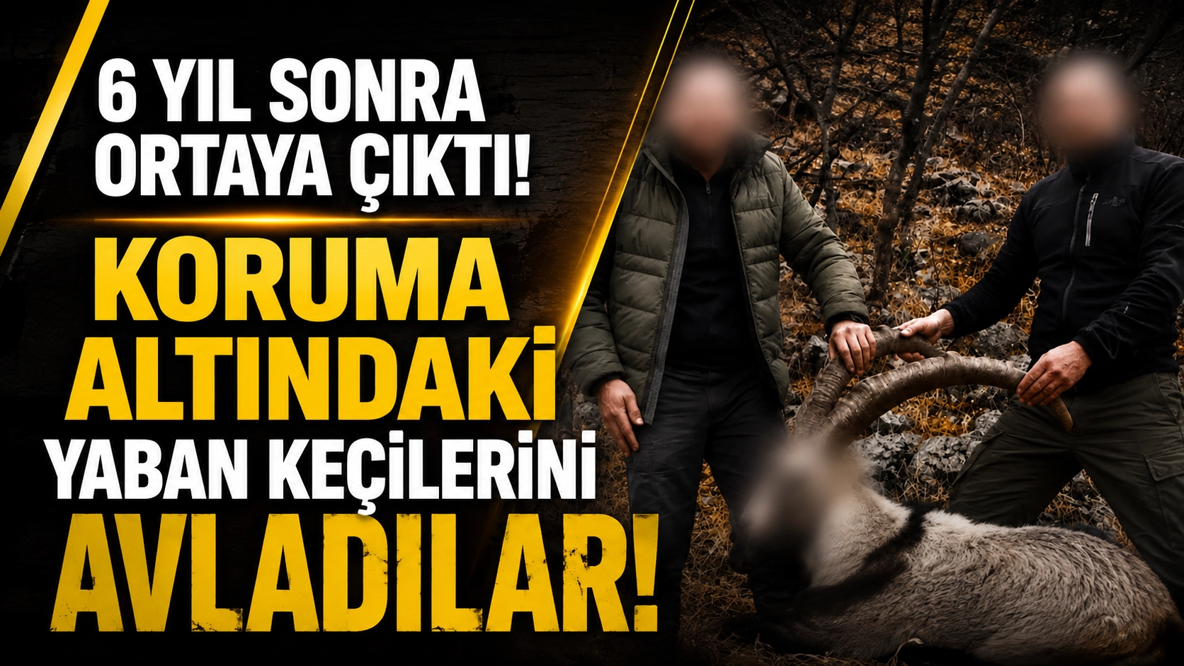 Devlet 6 Yıl Sonra İzlerini Buldu! Ka&ccedil;ak Avcılara Ceza