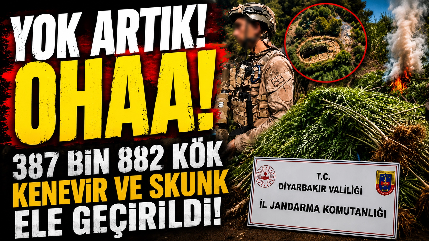 Diyarbakır'da uyuşturucu operasyonu... 387 bin 882 k&ouml;k kenevir ve skunk ele ge&ccedil;irildi