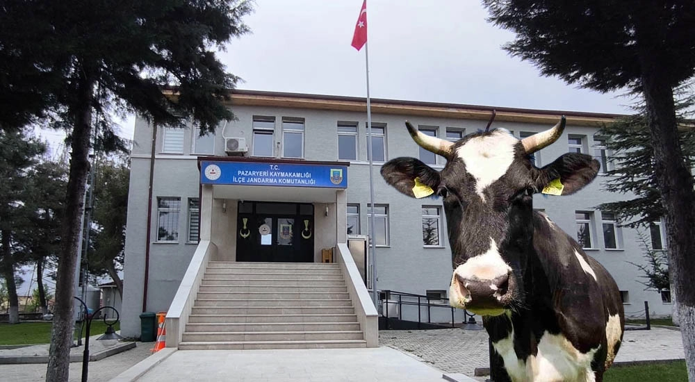 E-TİCARETTEN HAYVAN DOLANDIRICILIĞI!..