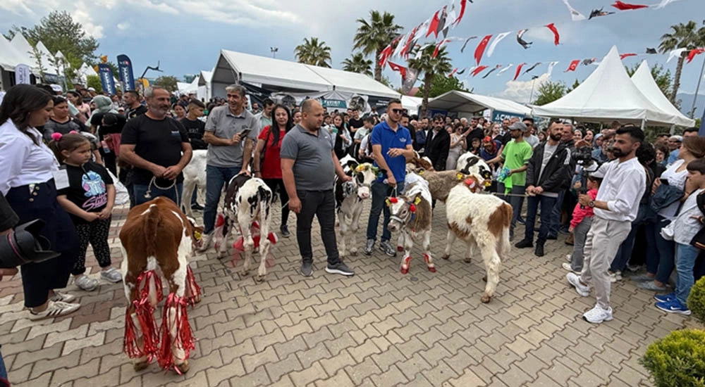 FUARDA BUZAĞILAR PODYUMA ÇIKTI!