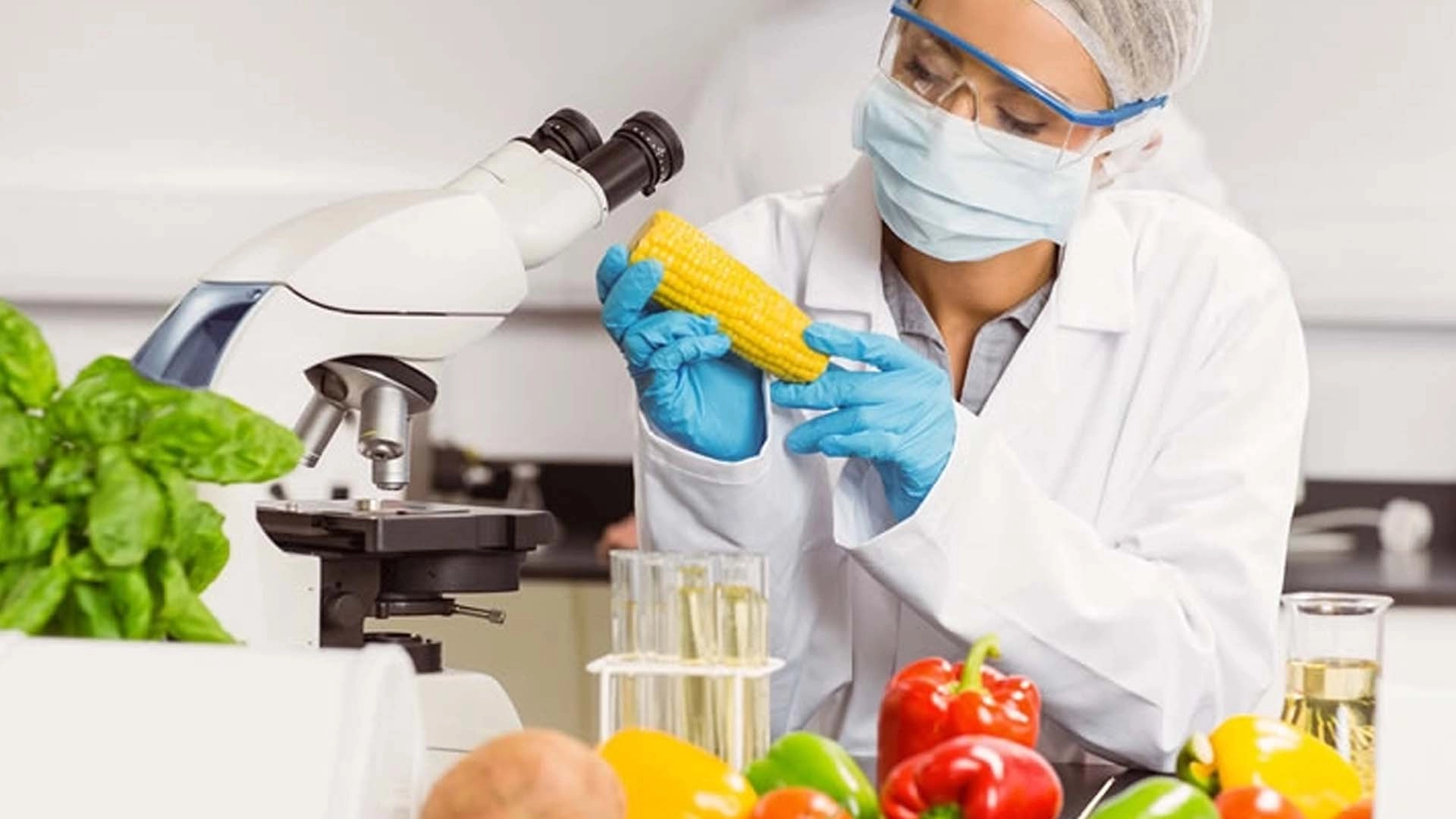 Gıda katkı maddelerine yeni d&uuml;zenleme... İşletmelere 1 Mart'a kadar uyum s&uuml;resi