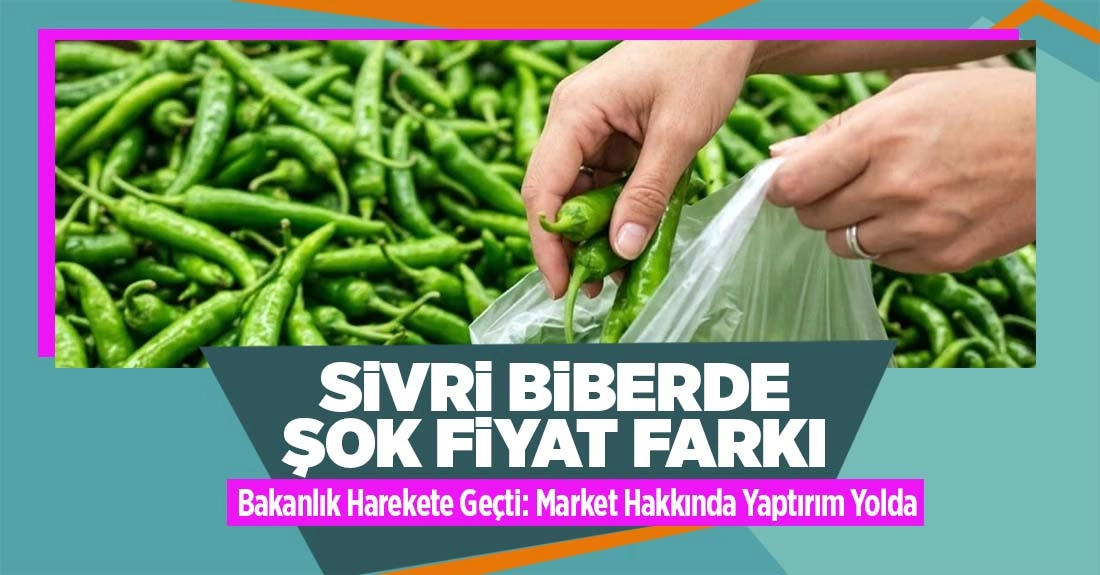 Hal Kayıt Sistemi İncelemesinde Şok Fiyat Farkı