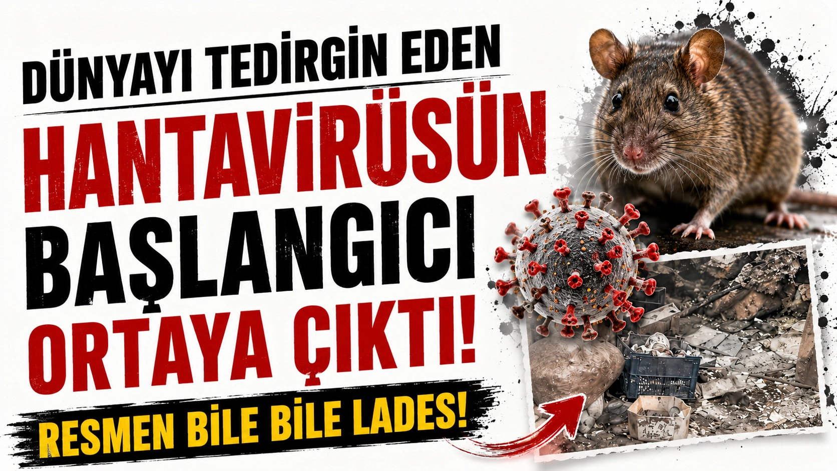 Hantavir&uuml;s paniği b&uuml;y&uuml;yor, salgının ilk hastası ortaya &ccedil;ıktı!