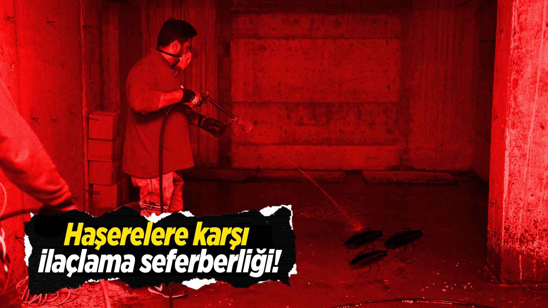 Haşerelere karşı ilaçlama seferberliği!