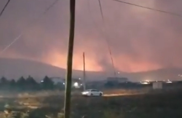 İzmir Foça'da orman yangını: 20 ev tahliye edildi