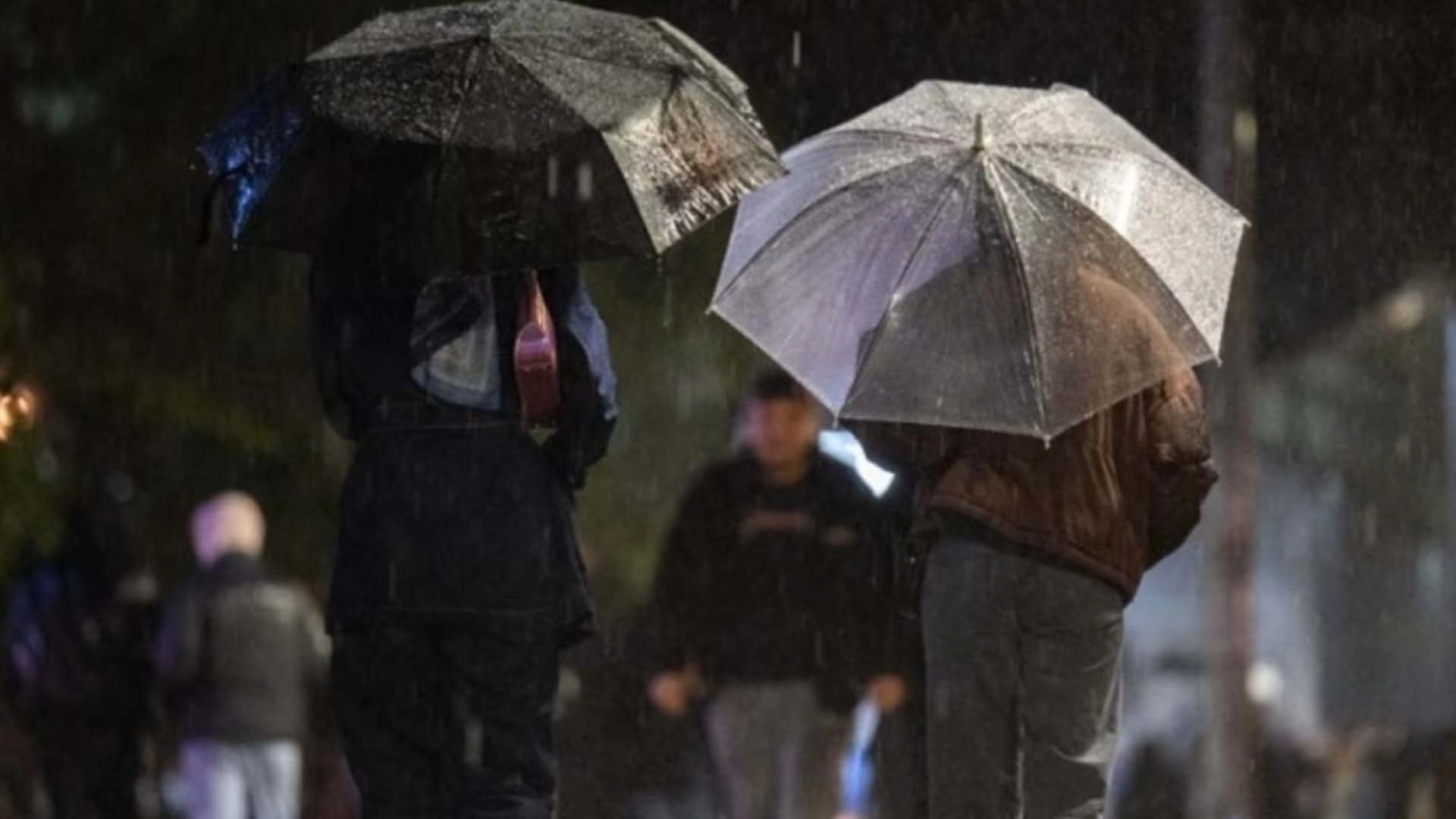 İzmir&rsquo;de Sağanak ve Fırtına Hayatı Fel&ccedil; Etti: Ağa&ccedil;lar Devrildi, İş Yerlerini Su Bastı