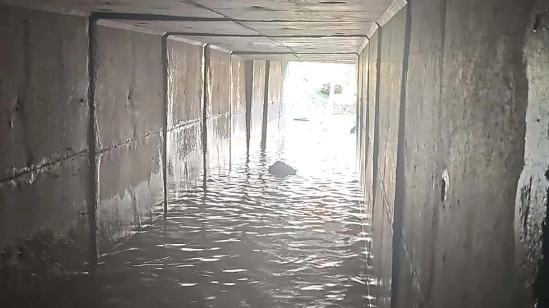 İzmir&rsquo;de sağanak yağış sonrası ara&ccedil;lar dereye s&uuml;r&uuml;klendi