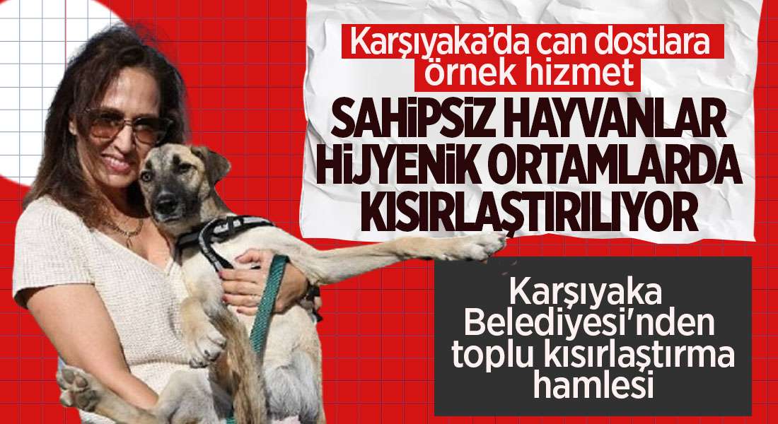 Karşıyaka Belediyesi'nden toplu kısırlaştırma hamlesi