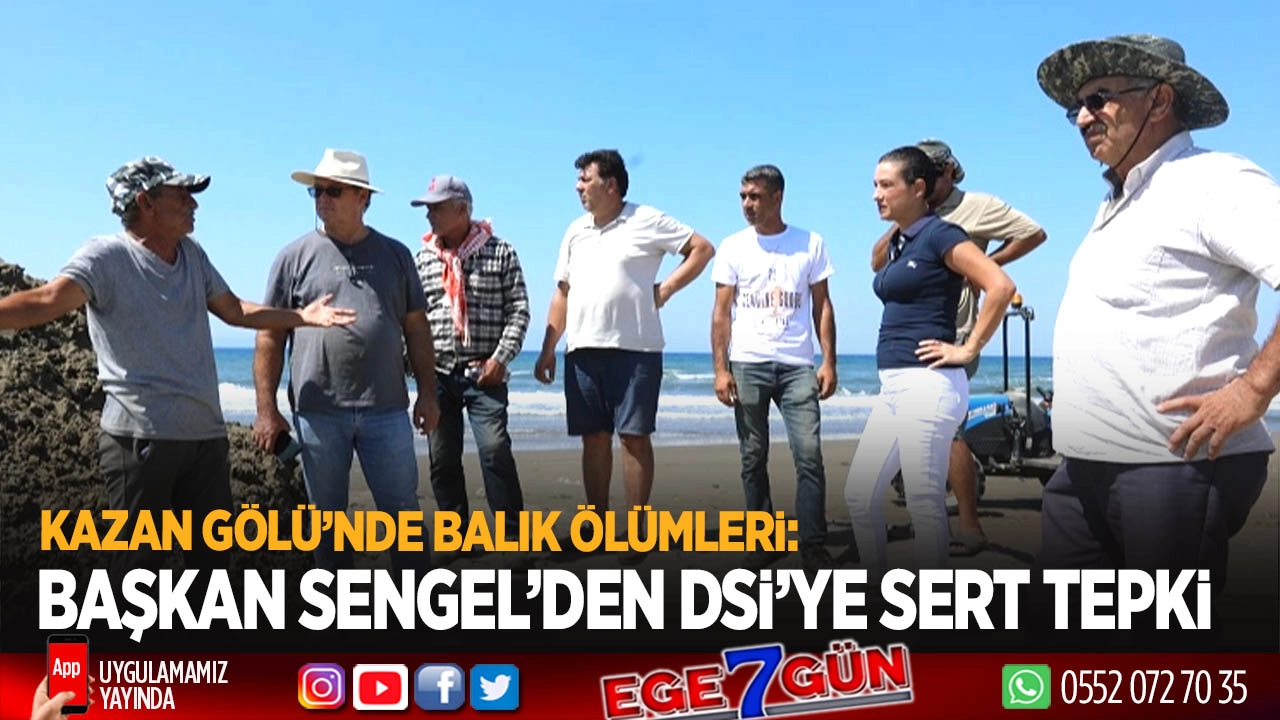 Kazan Gölü’nde balık ölümleri: Başkan Sengel’den DSİ’ye sert tepki