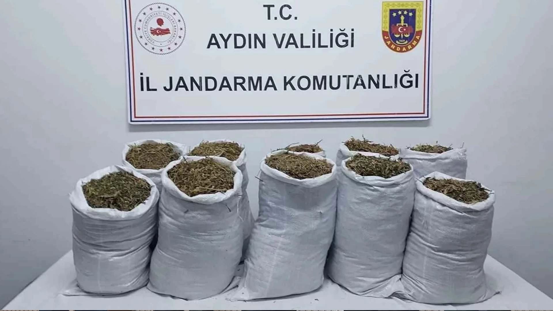 Kuşadası&rsquo;nda Kenevir ve Esrar Operasyonu: 2 G&ouml;zaltı