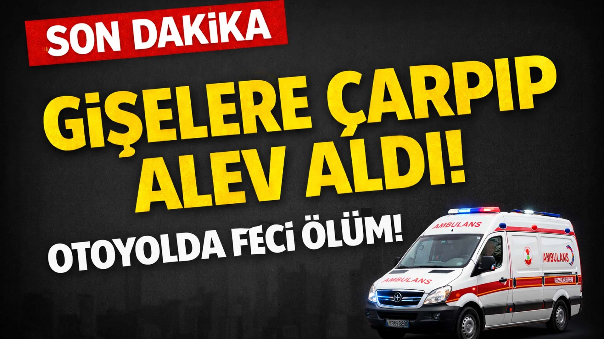 Kuzey Marmara Otoyolu&rsquo;nda Feci Kaza: S&uuml;r&uuml;c&uuml; Hayatını Kaybetti