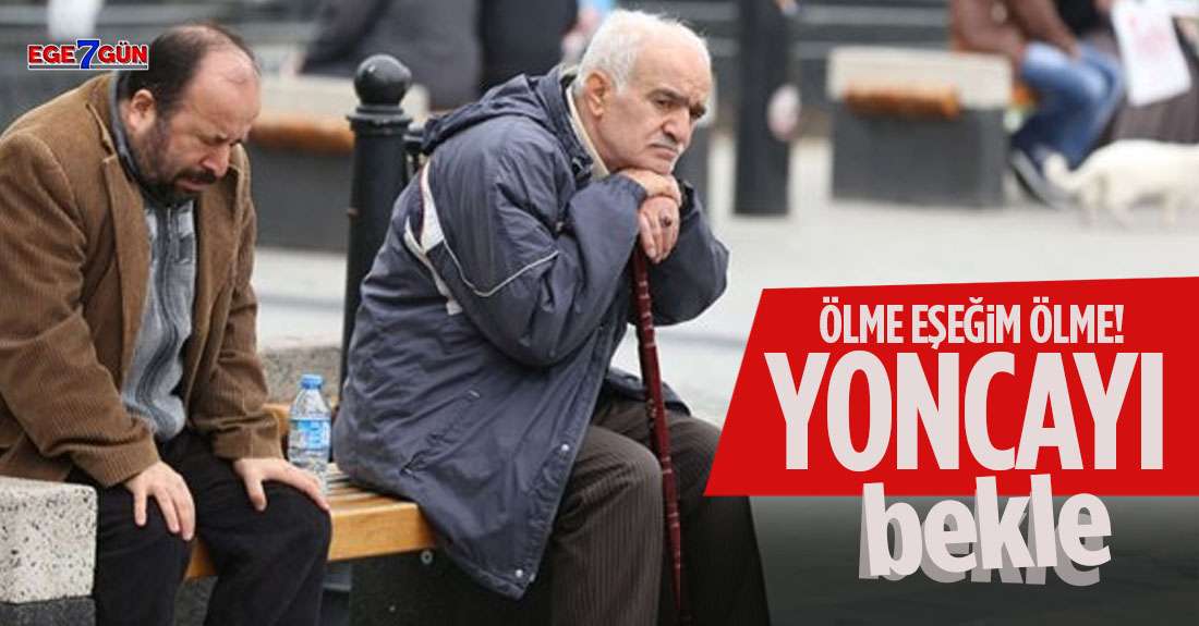 Ölme eşeğim ölme, yoncayı bekle!..