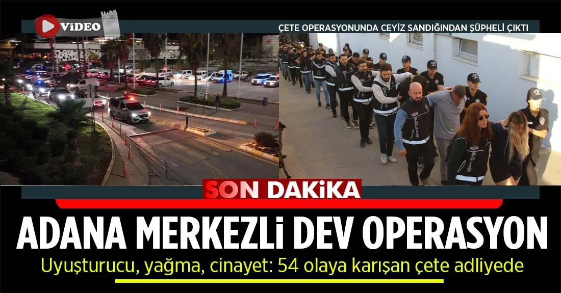 Polisten 10 ay süren takip: Bayğaralar operasyonu sonuç verdi