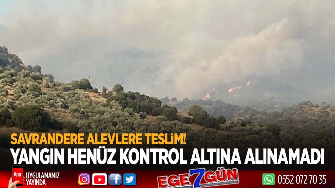 Rüzgarın etkisiyle yayıldı: Müdahale sürüyor