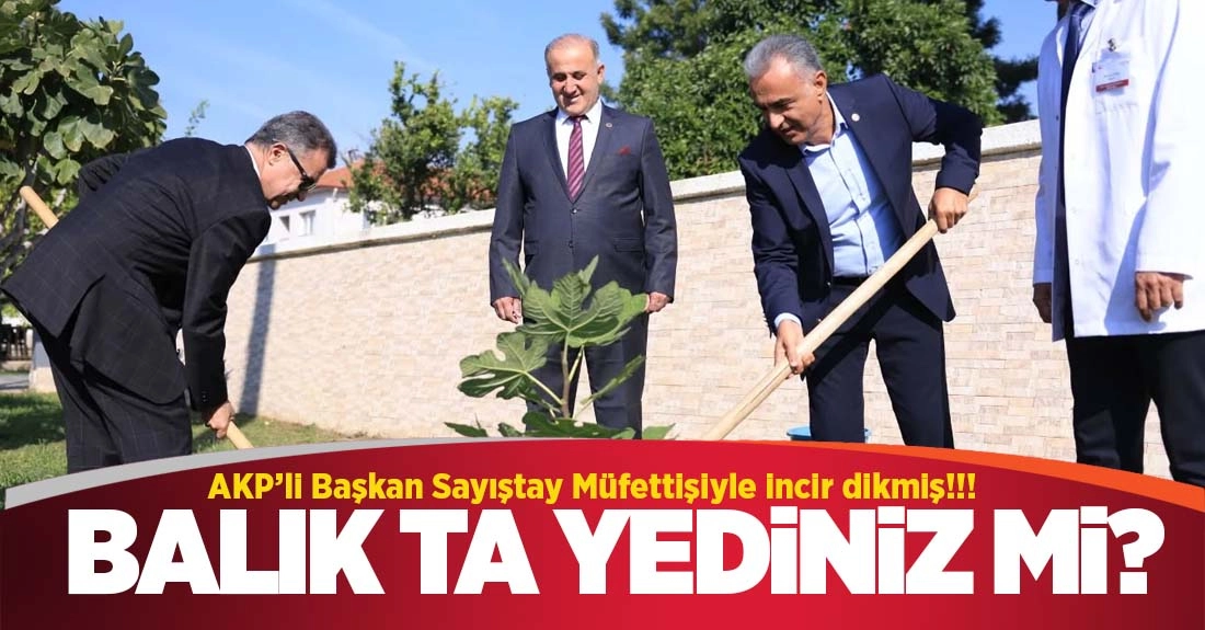 Sayıştay Müfettişiyle Tarla Turu: İncirliova’da Sıradışı Bir Ziyaret