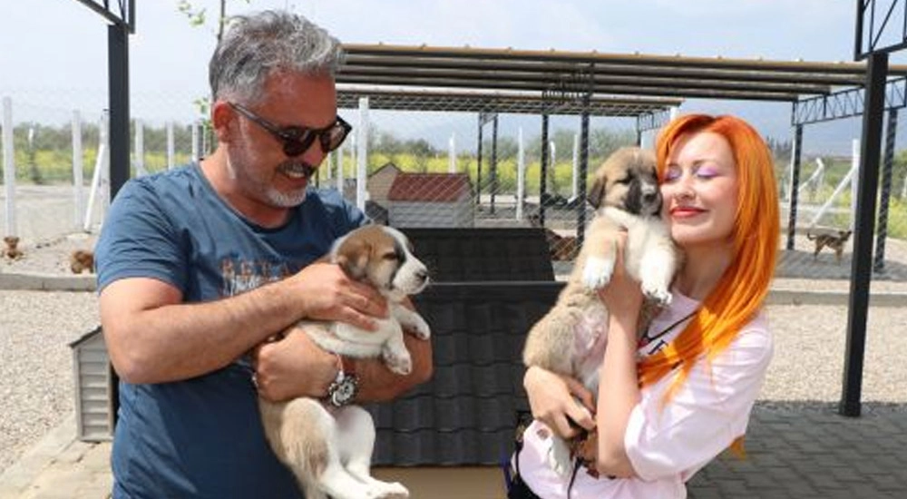 “SOKAĞA DEĞİL, BAKIMEVİ’NE BIRAK”