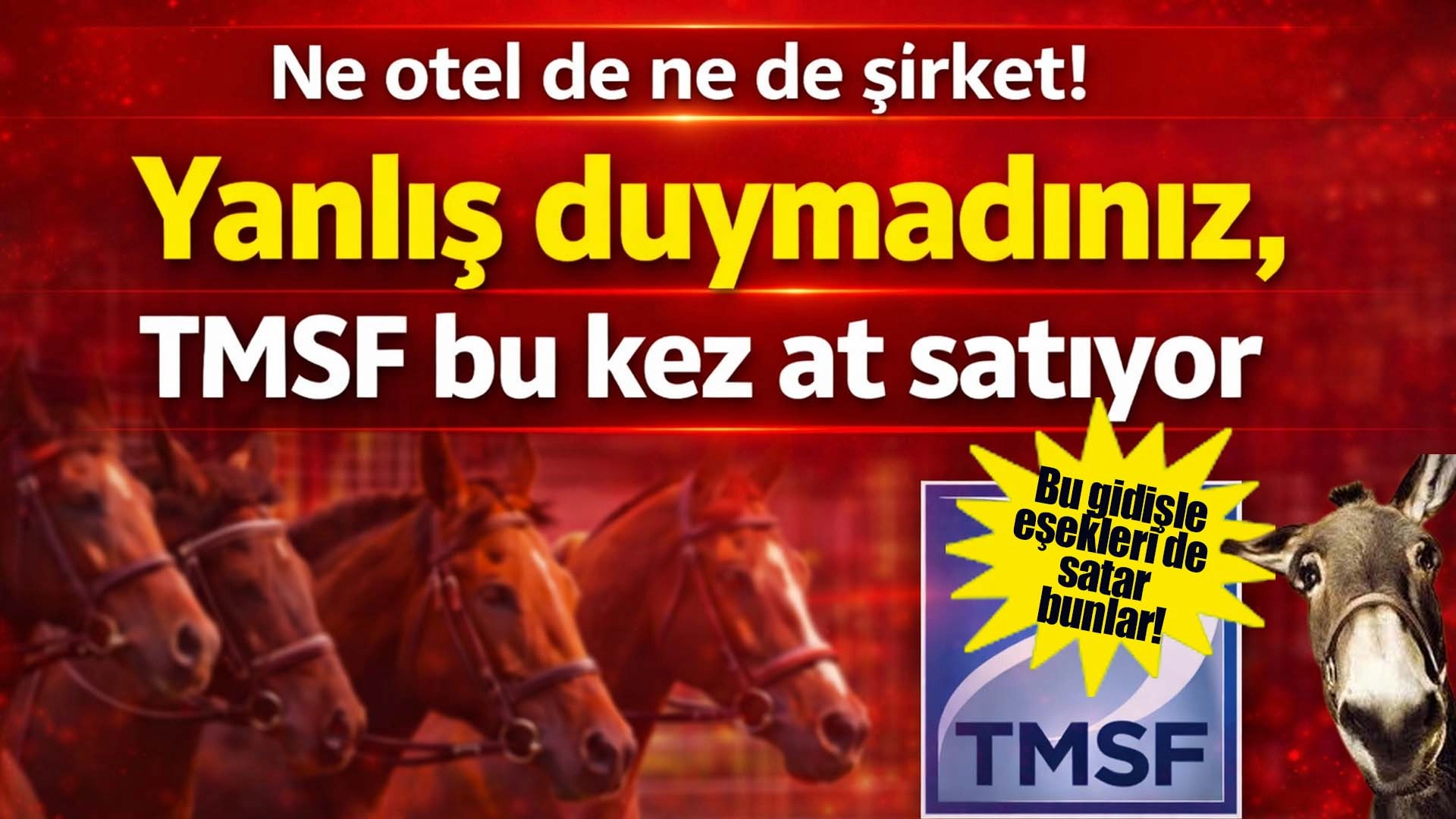 TMSF&rsquo;den Dikkat &Ccedil;eken Satış: Safkan Atlar İhaleye &Ccedil;ıkıyor