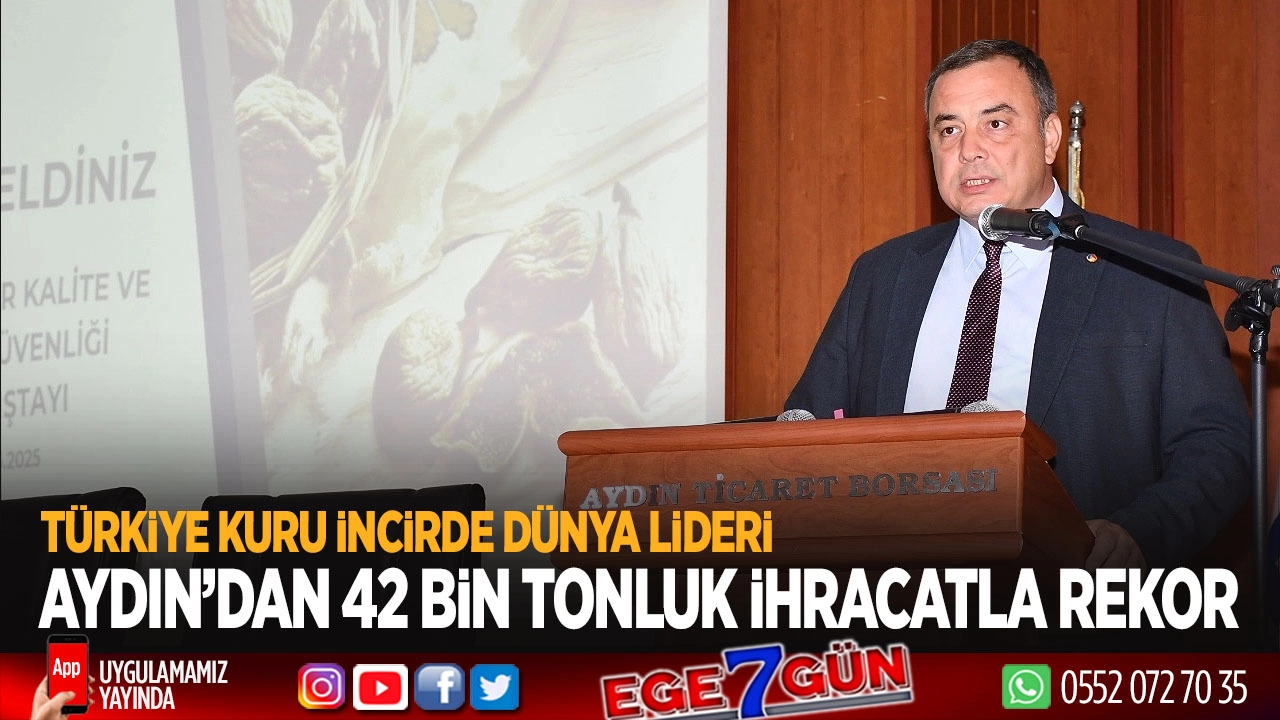 Türkiye kuru incirde dünya lideri