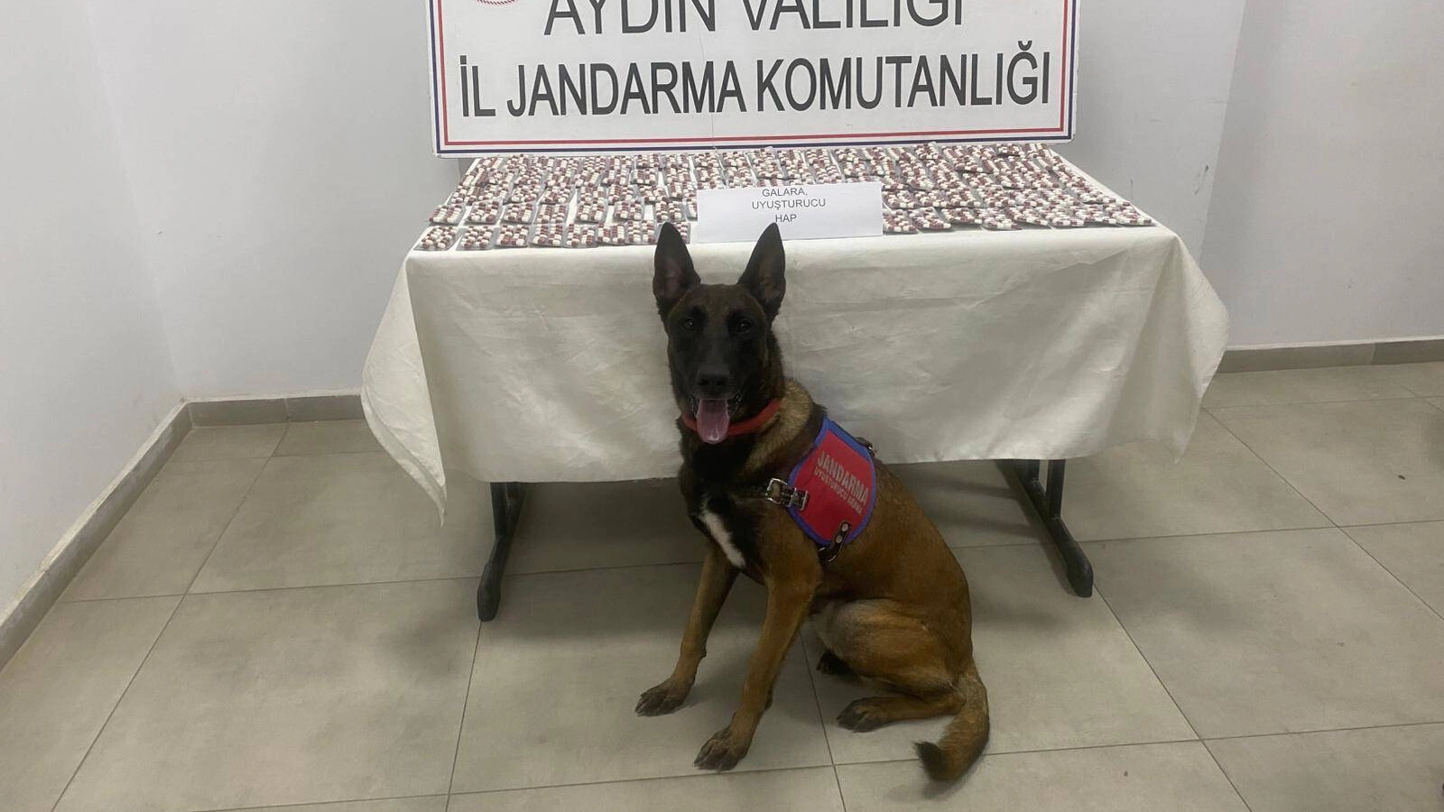 Germencik gişelerinde 1383 sentetik hap yakalandı
